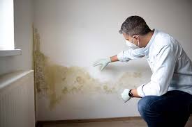 Best Emergency Mold Remediation in Dunnavant, AL